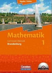 Mathe Lehrwerke fr die Sekundarstufe II (Oberstufe) von Cornelsen für den Einsatz im Matheunterricht